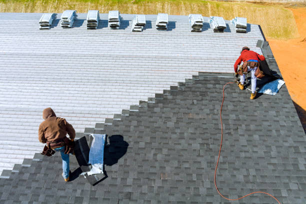 Gutter Installation and Roofing in Elberta, AL
