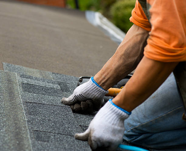 Best Storm Damage Roof Repair  in Elberta, AL